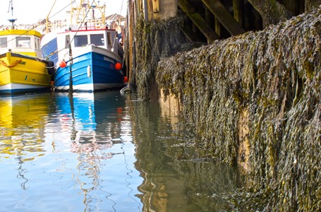 Boats In Harbour