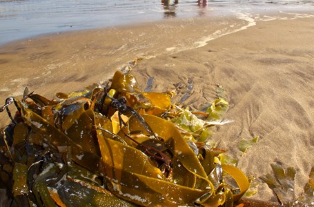 Children On Beach