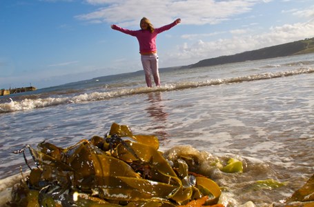Seaweed And Girl On Beach