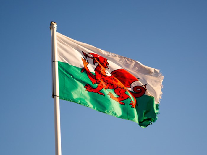 Welsh Flag caravanlet.co.uk